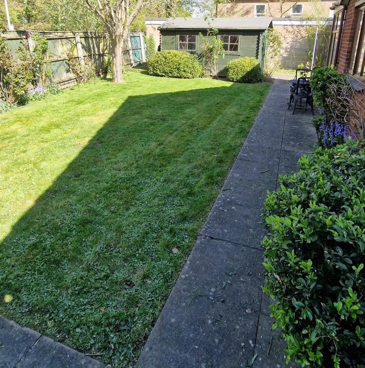 Freshly mowed back garden lawn with clean edges and stripes by ELawnCare in Cambridge