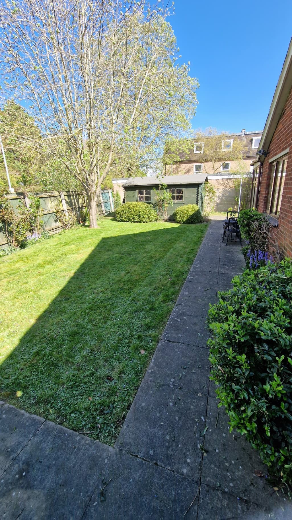 Neatly mowed back garden lawn with clean stripes after ELawnCare lawn mowing service in Cambridge